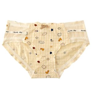SISSY PANTIES